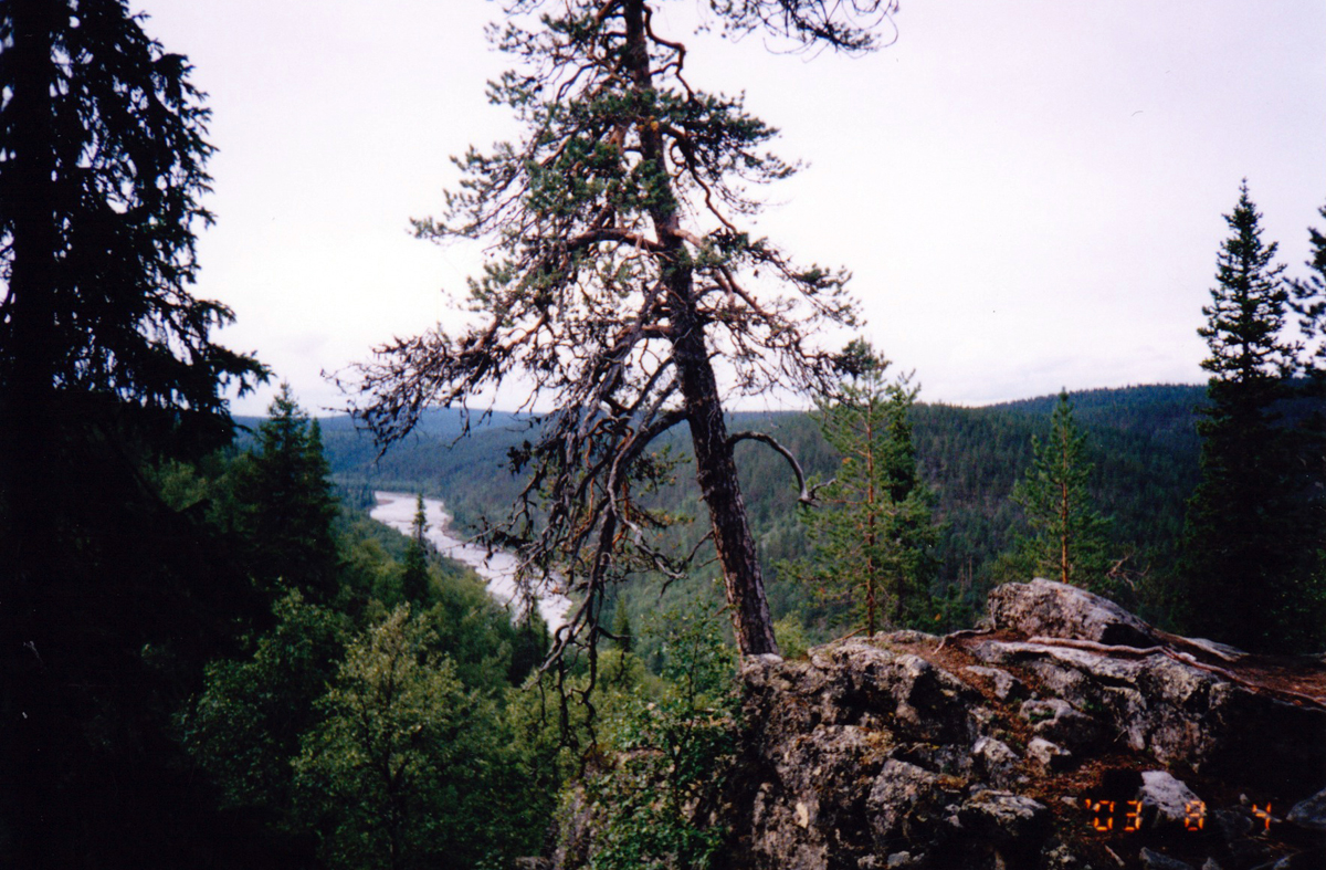 maisema
