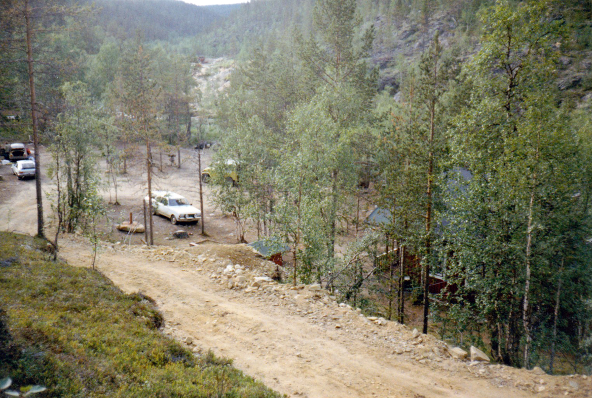 palsi_1984_katariina#6366C3