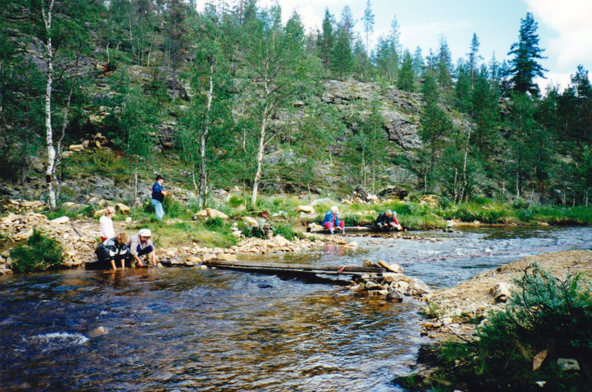 palsioja_1987