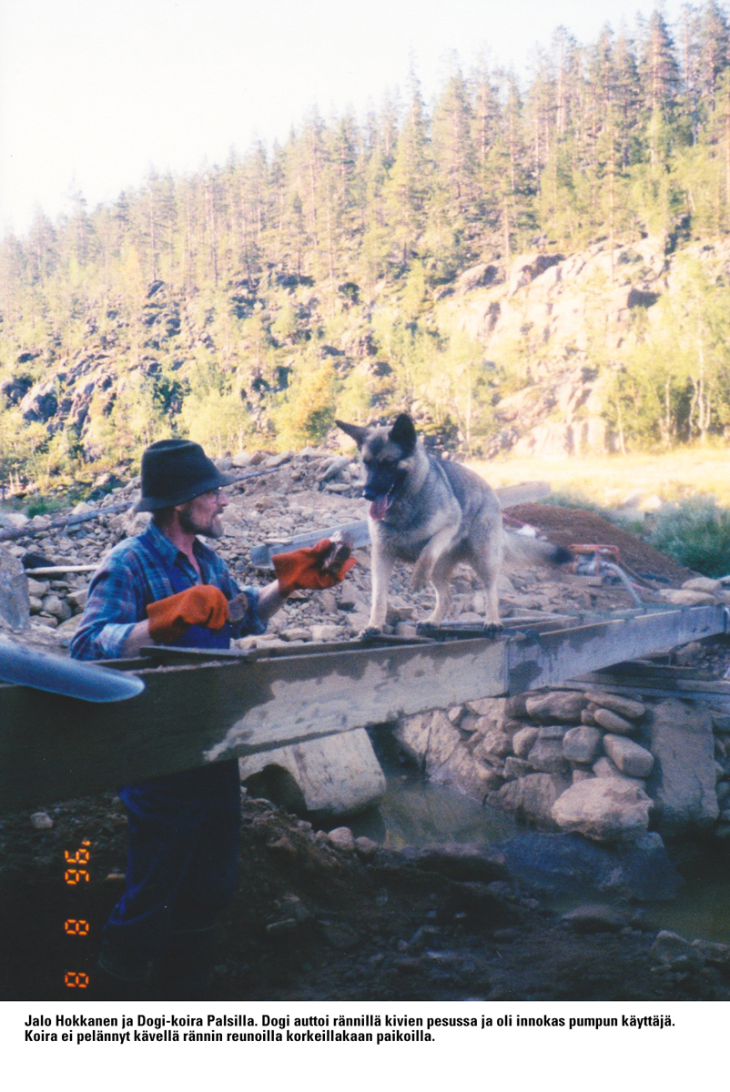 palsioja_dogi-koira