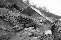 PALSINOJA_1991_JALO_#6366DD