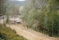 palsinoja_1984_katar#6366DF
