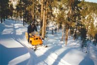 palsinoja_1990_paasiainen