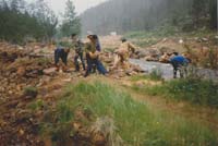 palsinoja_uomsn_siirto_1989