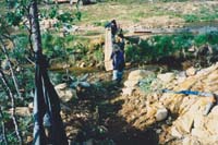 palsinoja_uusi_ranni_1992