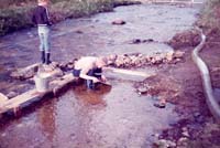 palsioja_1984_sami_j#6366E0
