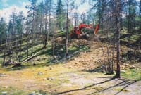 palsioja_voittomuiku#6366D0